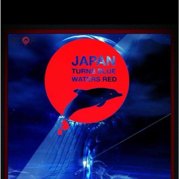 Meet your Posher, Steffi - Picture 2 of 2